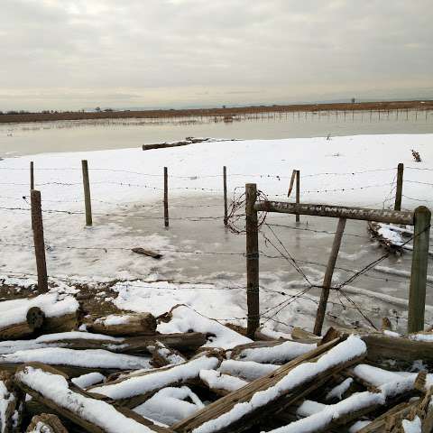 Steveston Stock and Seed Farm